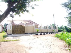 DEALERS IN HOUSES